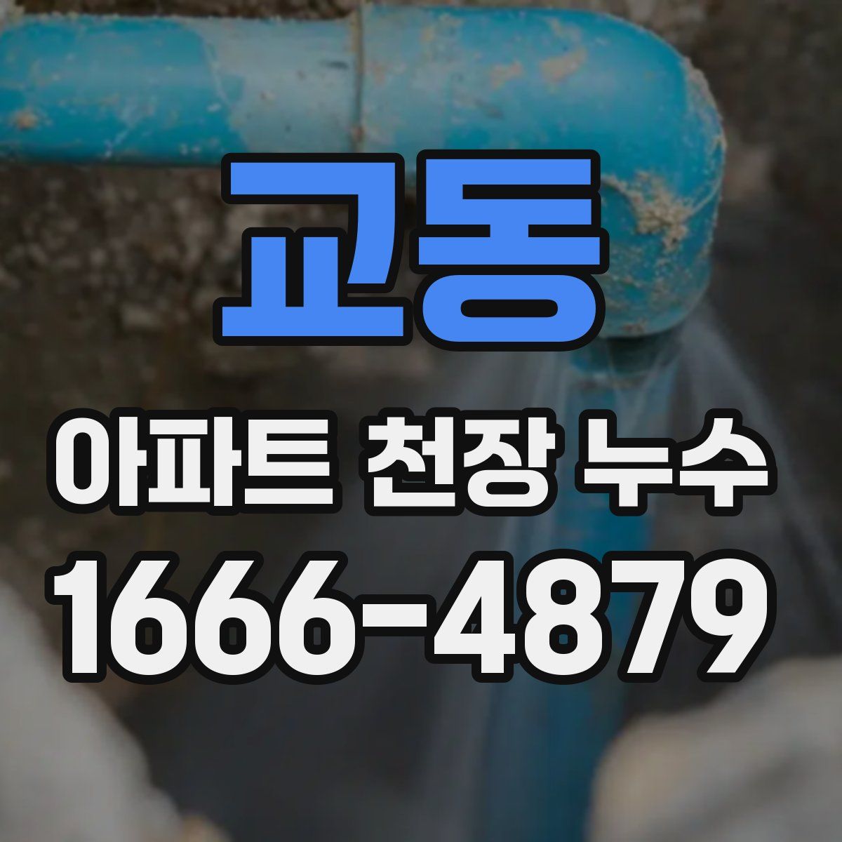교동 아파트 천장 누수