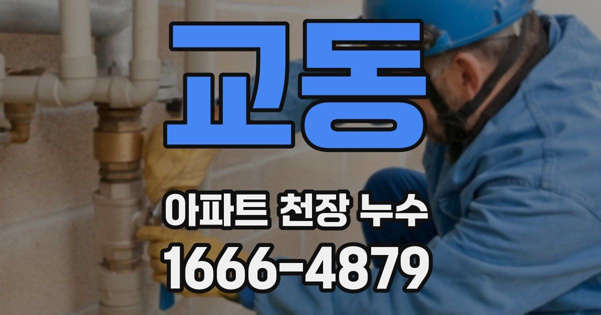교동 아파트 천장 누수