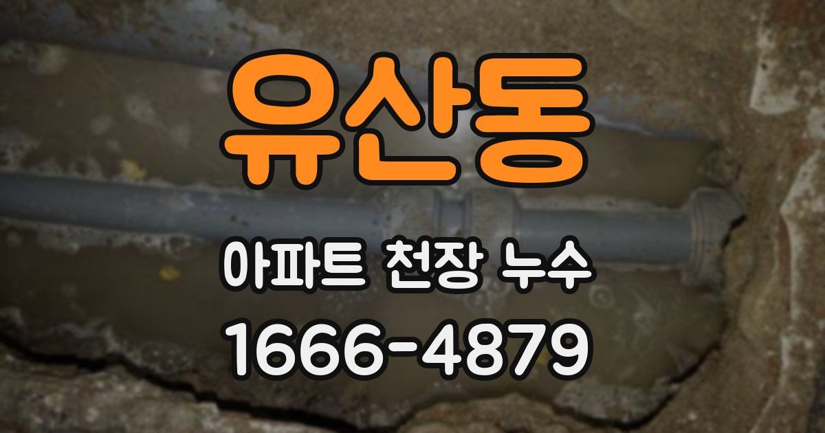 유산동 아파트 천장 누수
