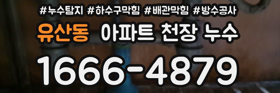 유산동 아파트 천장 누수