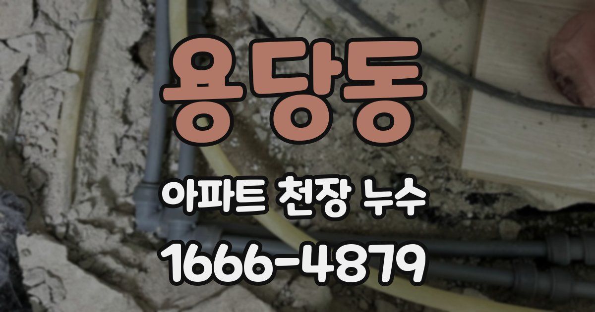 용당동 아파트 천장 누수