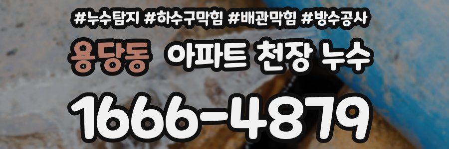 용당동 아파트 천장 누수