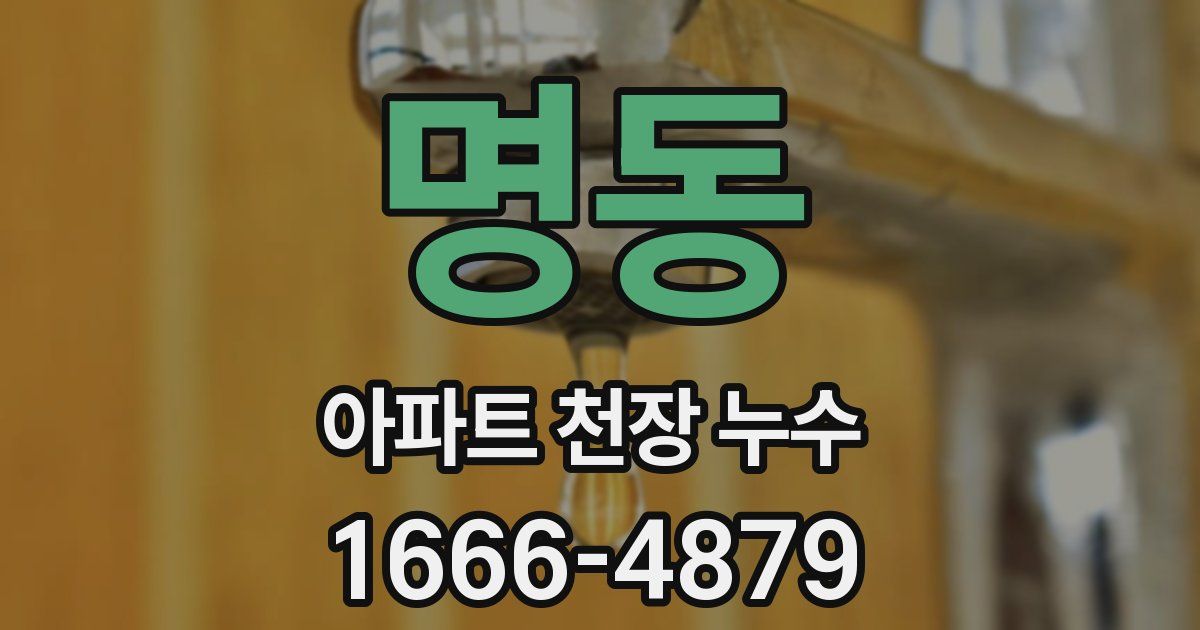 명동 아파트 천장 누수