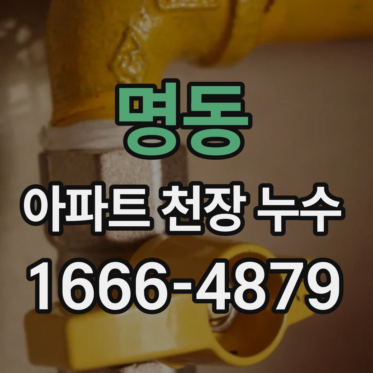 명동 아파트 천장 누수
