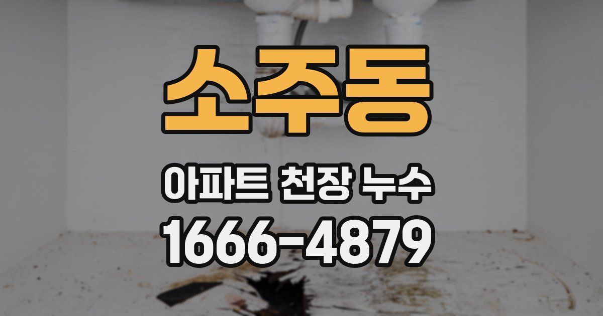 소주동 아파트 천장 누수