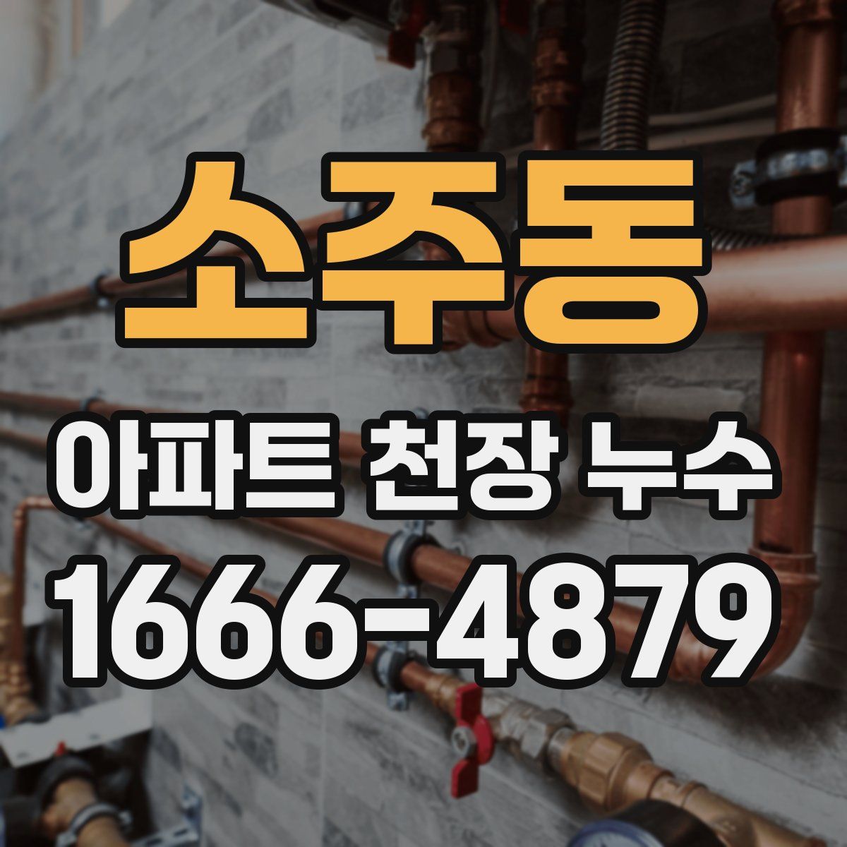 소주동 아파트 천장 누수