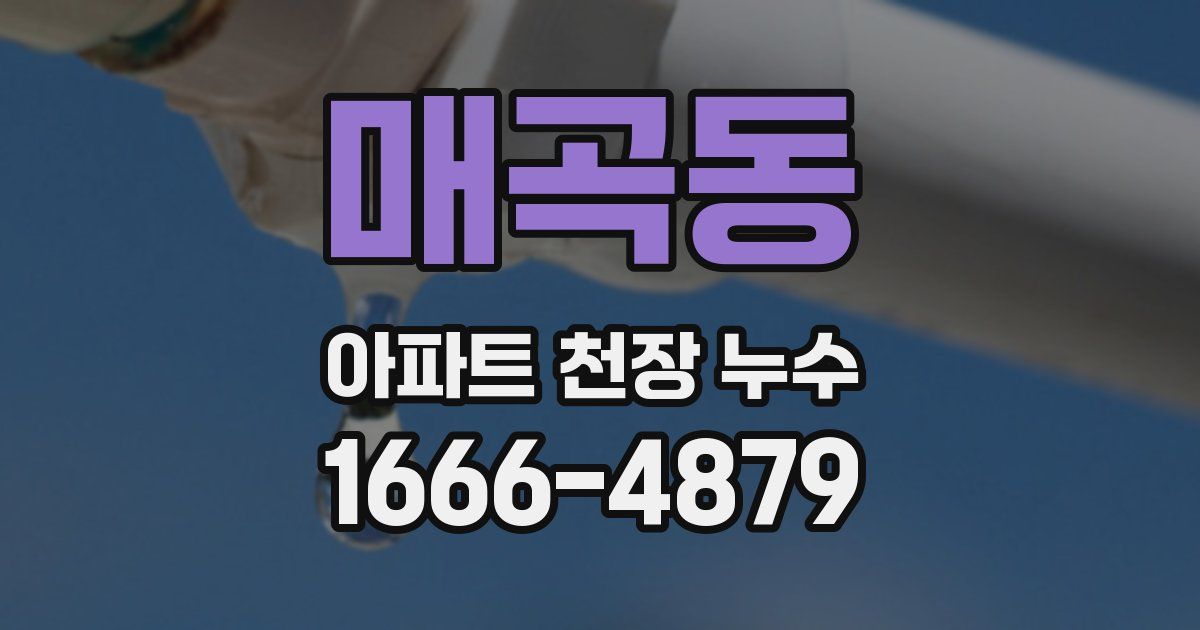 매곡동 아파트 천장 누수