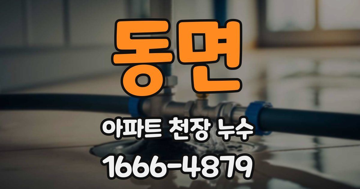 동면 아파트 천장 누수