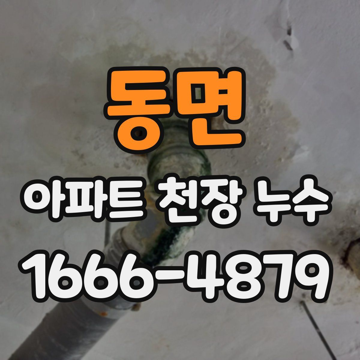 동면 아파트 천장 누수