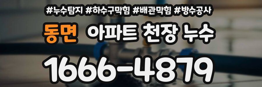동면 아파트 천장 누수
