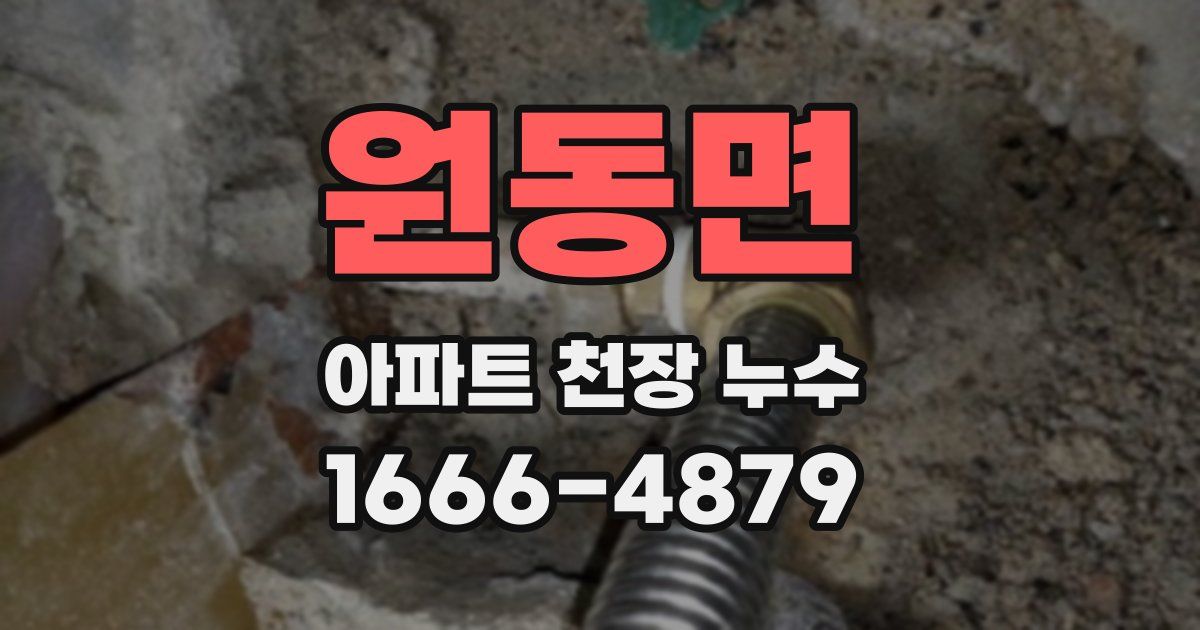 원동면 아파트 천장 누수