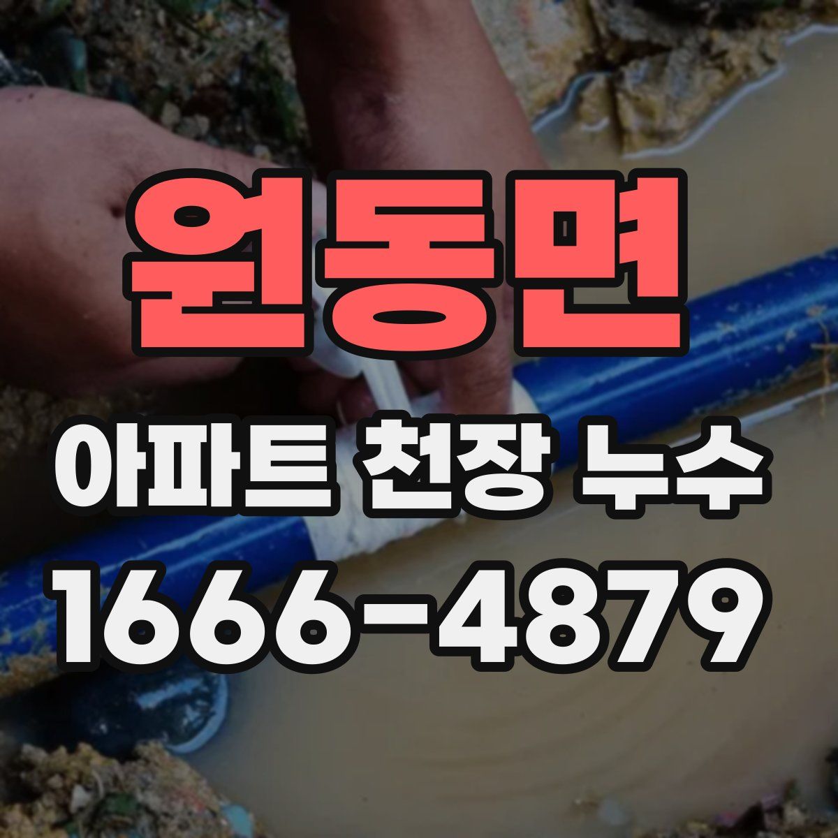 원동면 아파트 천장 누수