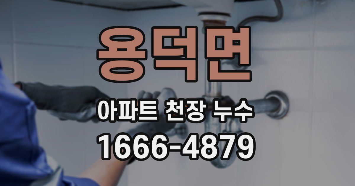 용덕면 아파트 천장 누수