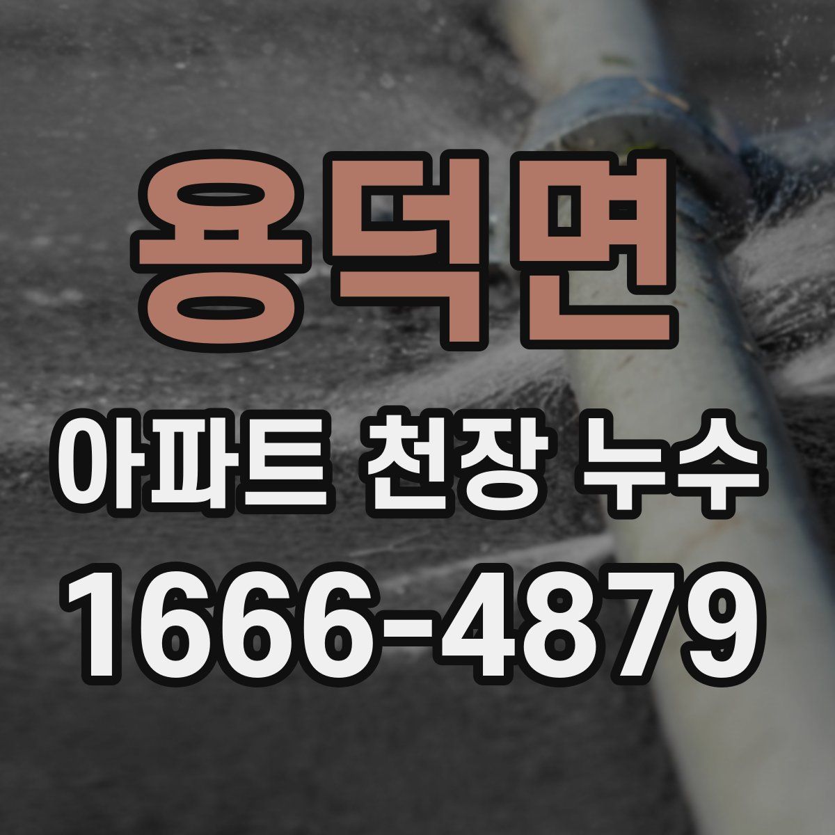 용덕면 아파트 천장 누수