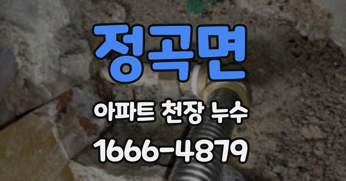 정곡면 아파트 천장 누수