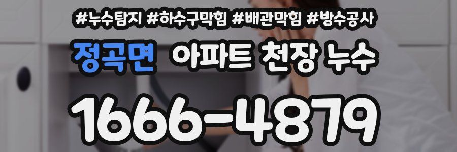 정곡면 아파트 천장 누수