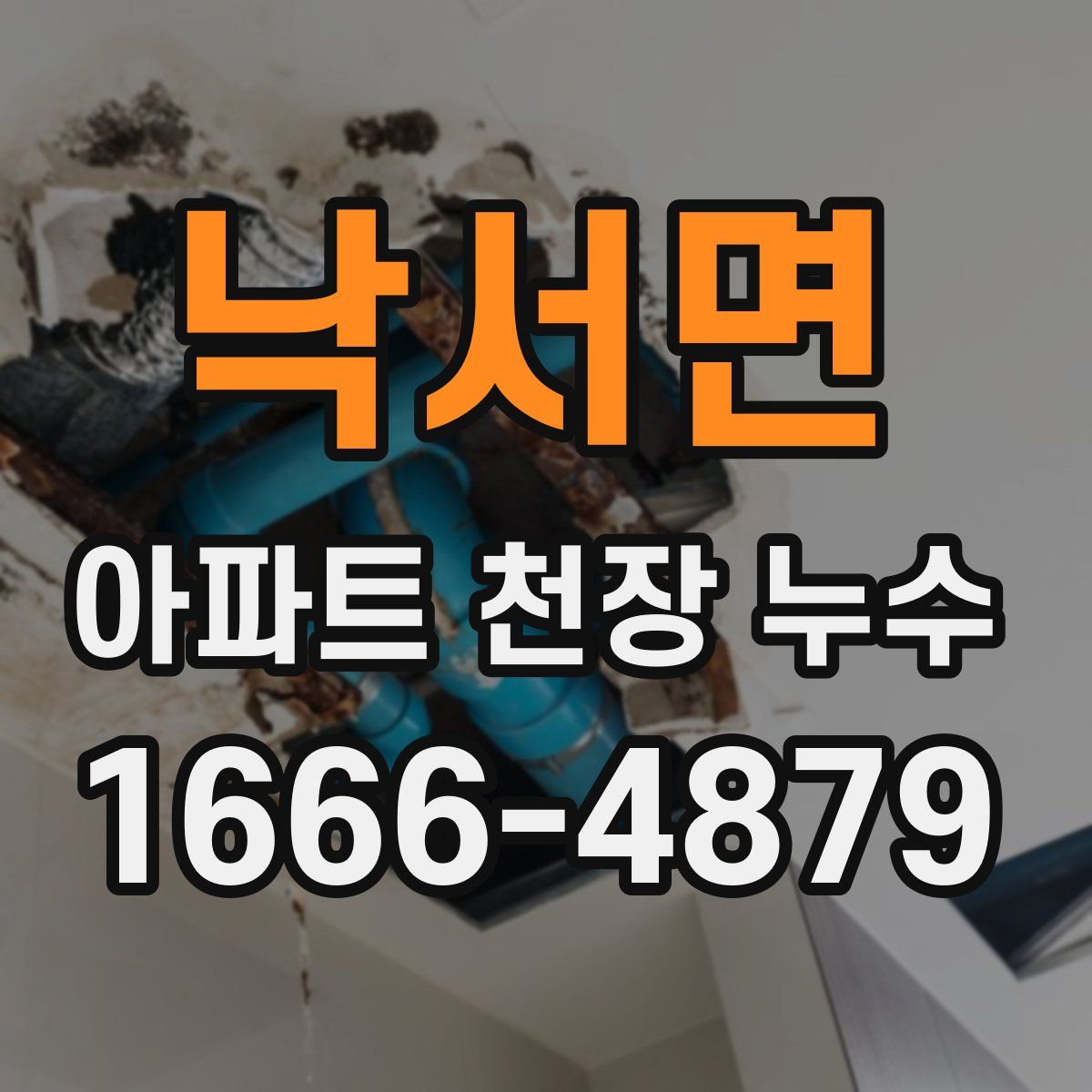 낙서면 아파트 천장 누수