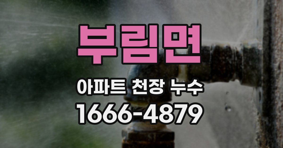 부림면 아파트 천장 누수