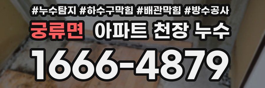 궁류면 아파트 천장 누수