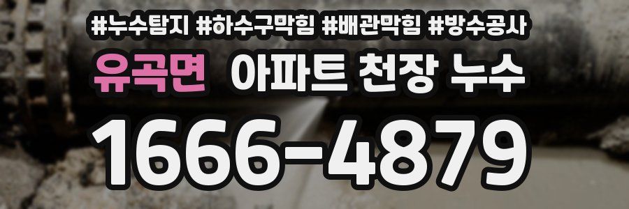 유곡면 아파트 천장 누수