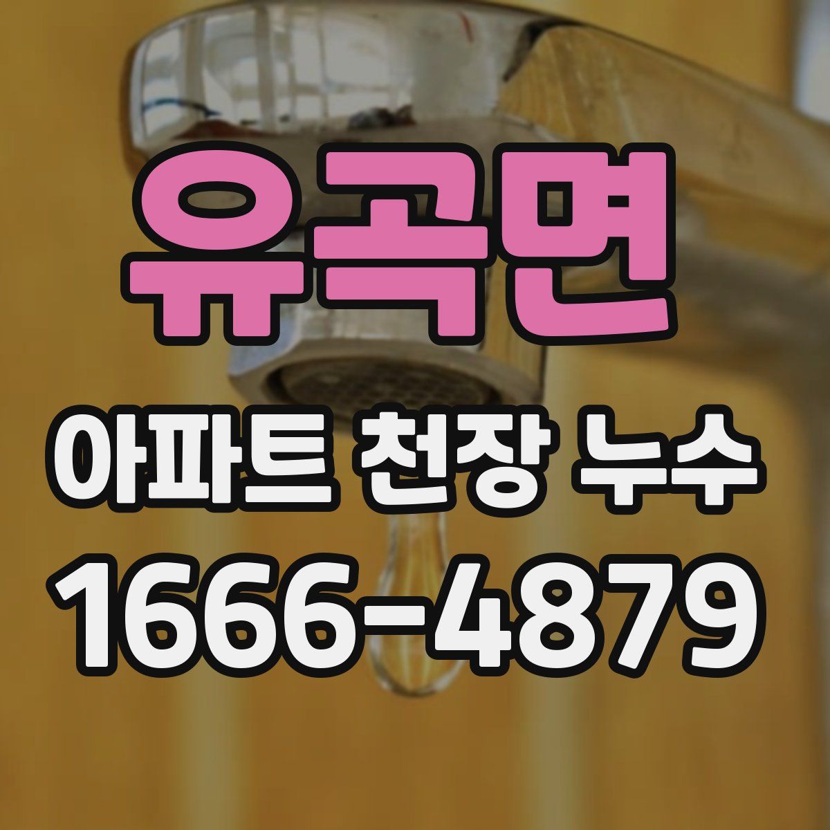 유곡면 아파트 천장 누수