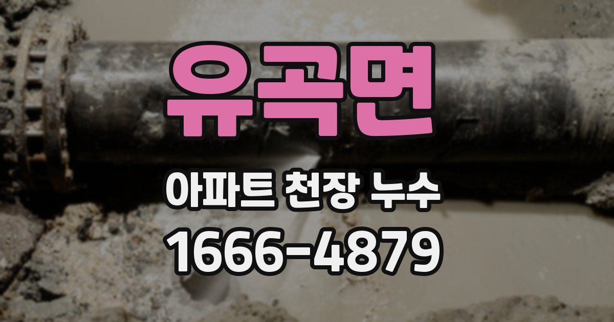 유곡면 아파트 천장 누수