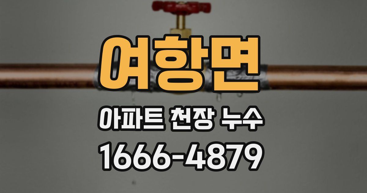 여항면 아파트 천장 누수