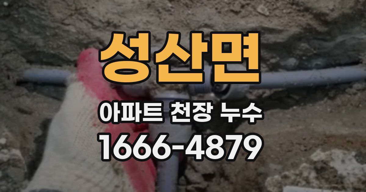 성산면 아파트 천장 누수