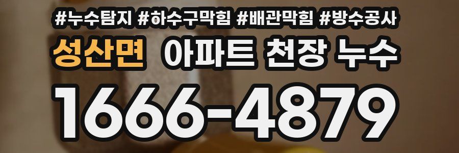 성산면 아파트 천장 누수