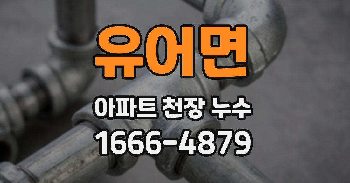 유어면 아파트 천장 누수