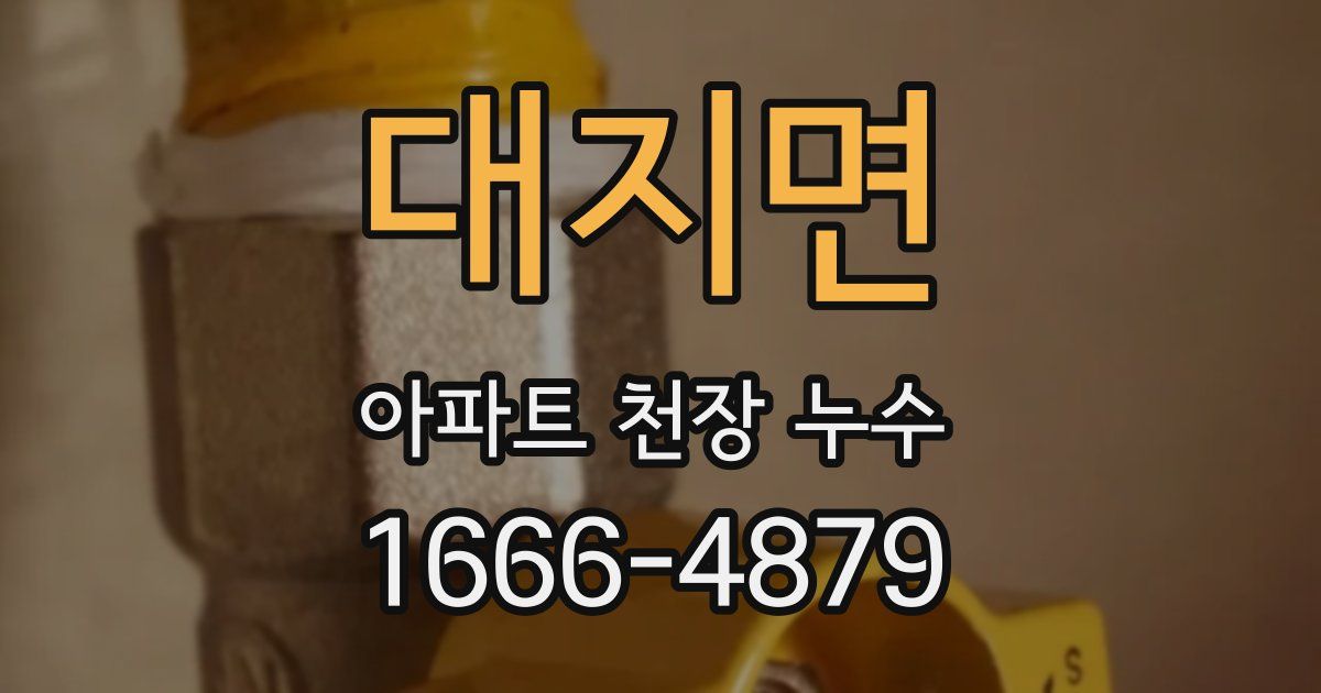 대지면 아파트 천장 누수