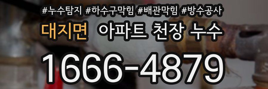 대지면 아파트 천장 누수