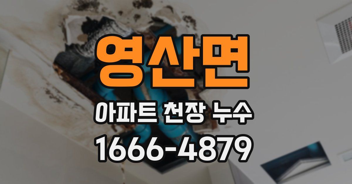 영산면 아파트 천장 누수