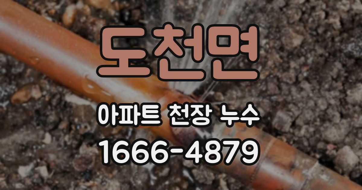도천면 아파트 천장 누수