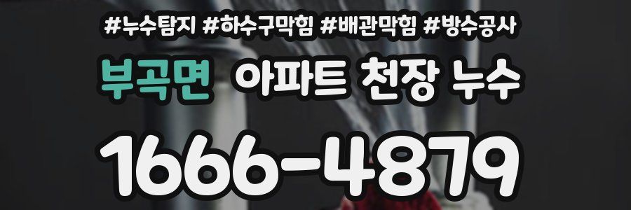 부곡면 아파트 천장 누수