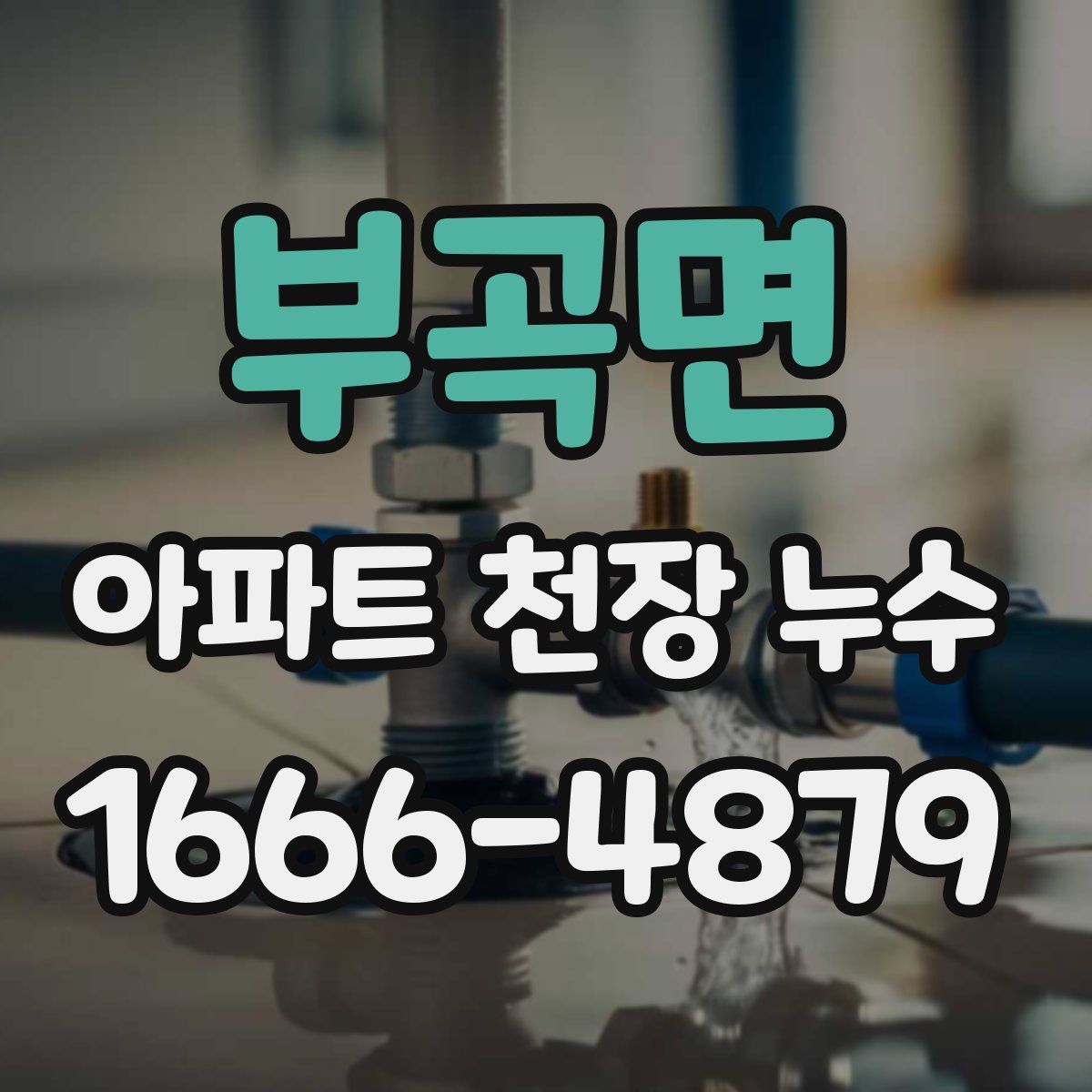 부곡면 아파트 천장 누수