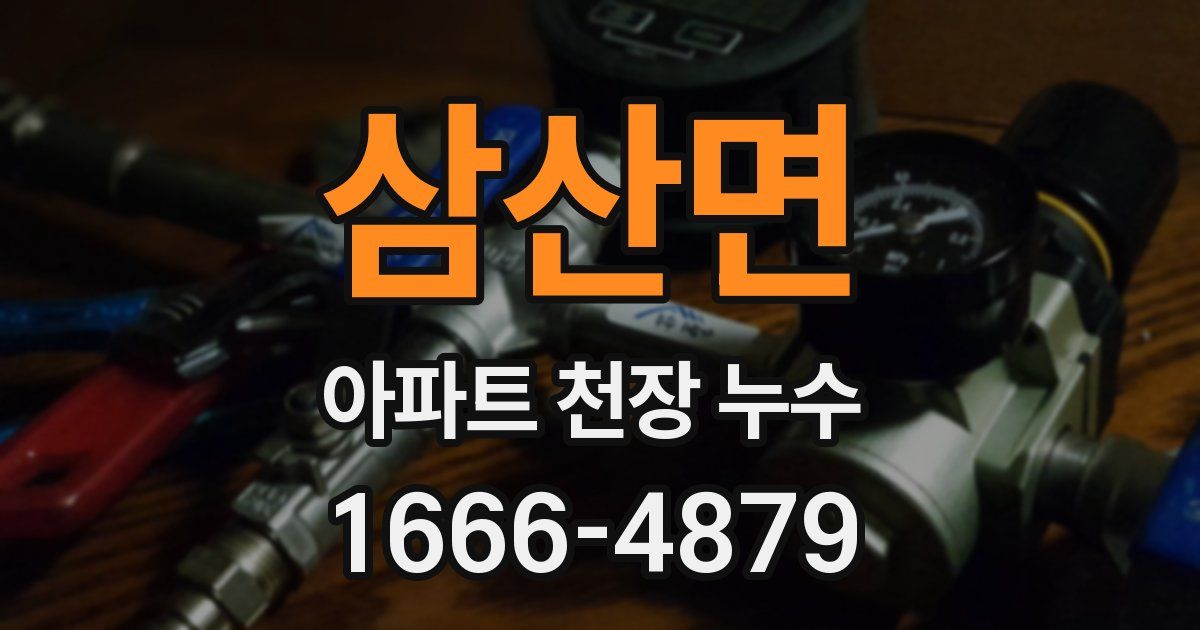 삼산면 아파트 천장 누수