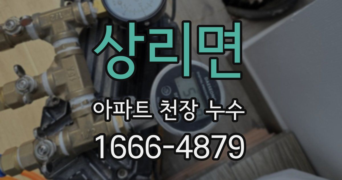 상리면 아파트 천장 누수
