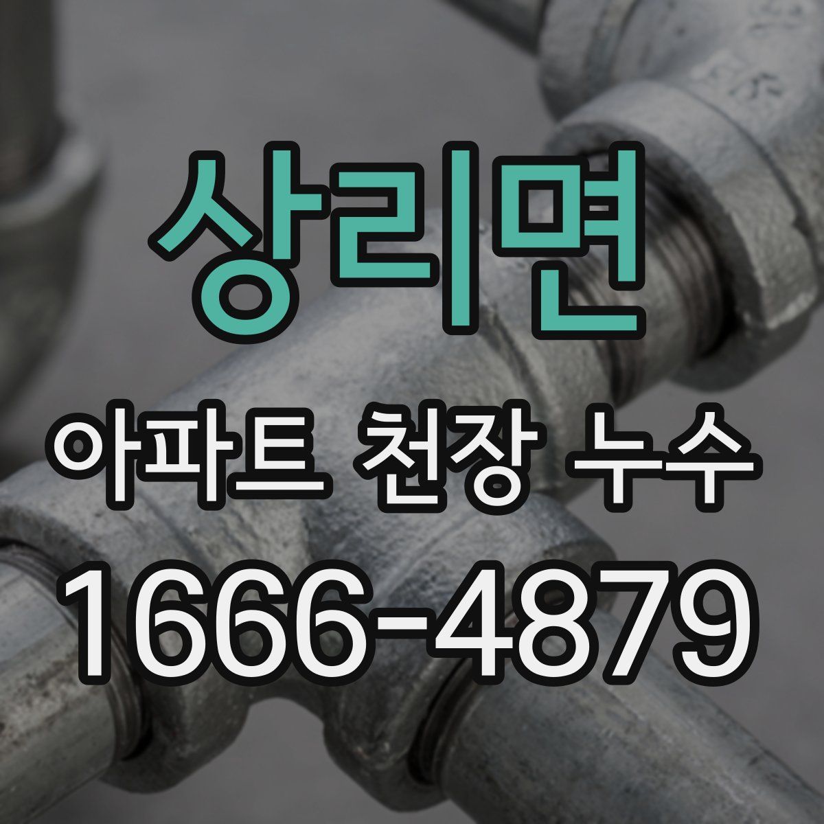 상리면 아파트 천장 누수