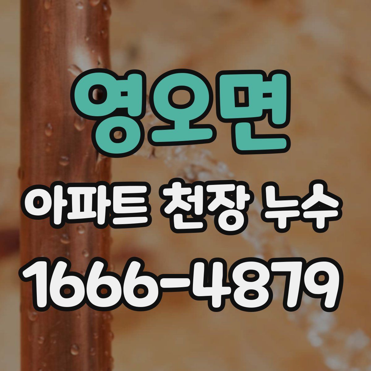 영오면 아파트 천장 누수
