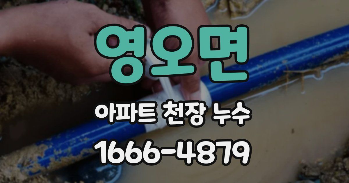 영오면 아파트 천장 누수