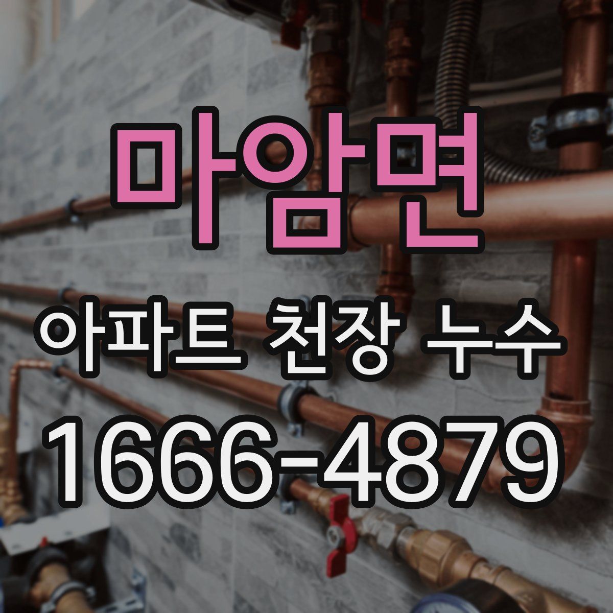 마암면 아파트 천장 누수