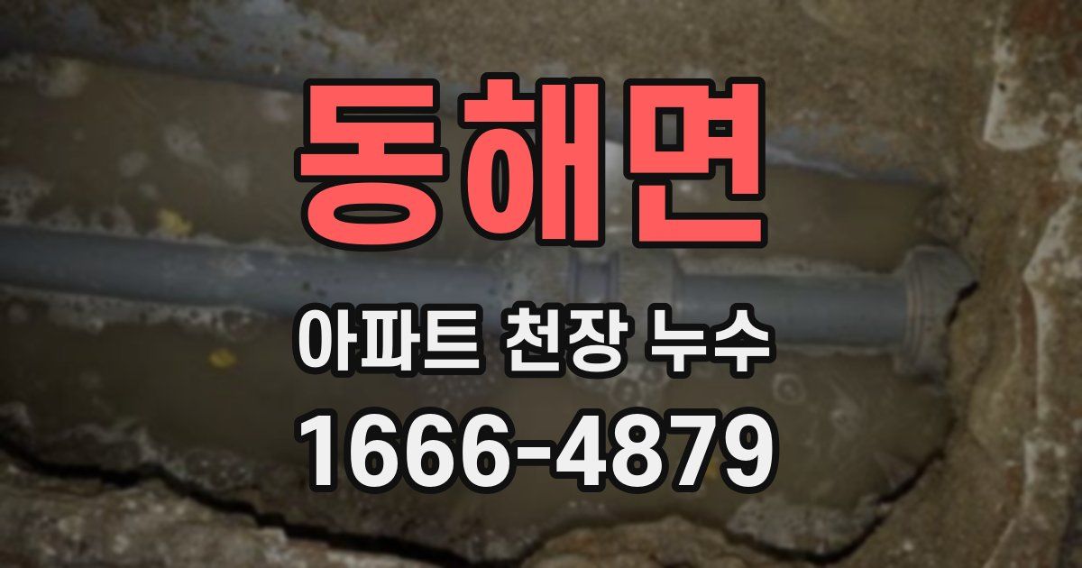 동해면 아파트 천장 누수