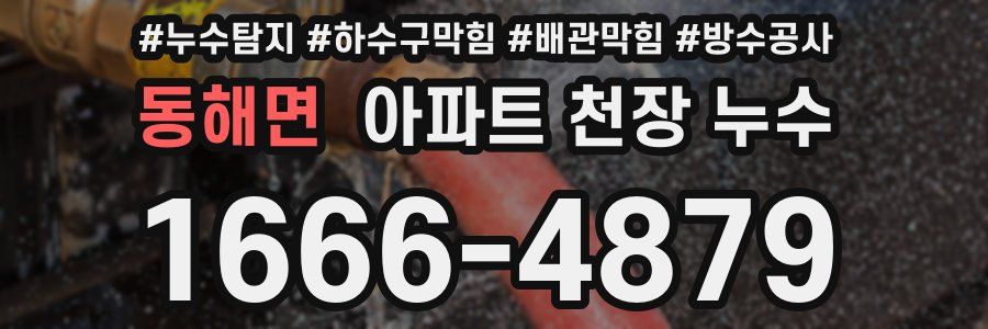 동해면 아파트 천장 누수
