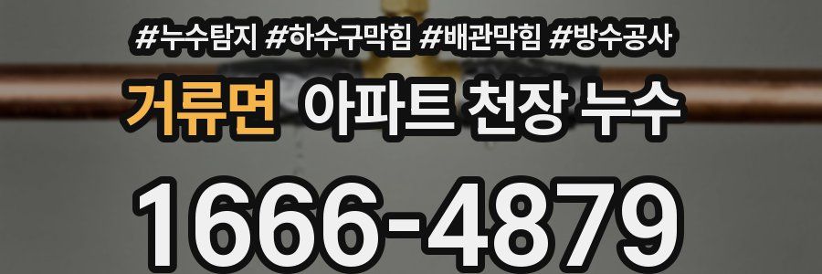 거류면 아파트 천장 누수