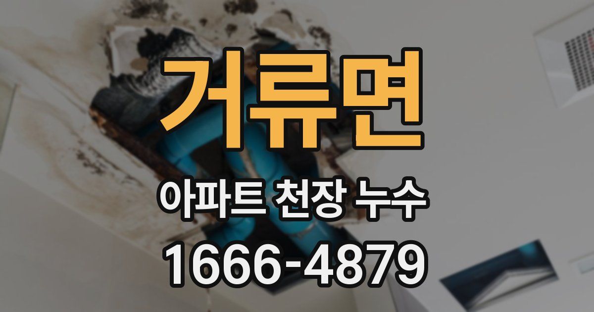 거류면 아파트 천장 누수