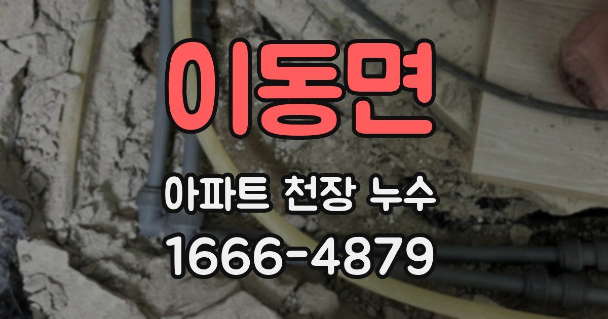 이동면 아파트 천장 누수