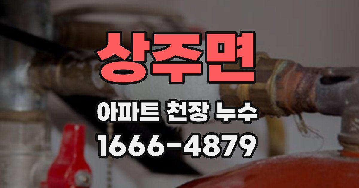 상주면 아파트 천장 누수