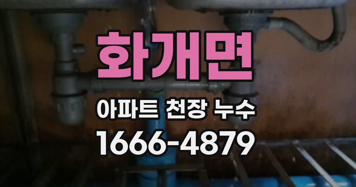 화개면 아파트 천장 누수