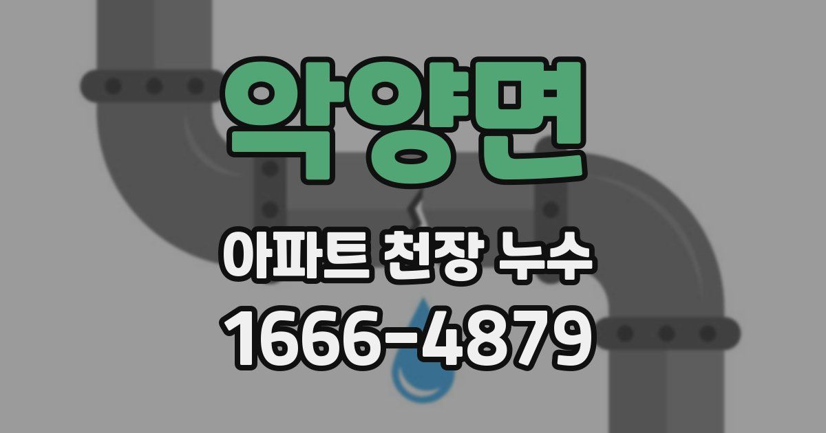 악양면 아파트 천장 누수